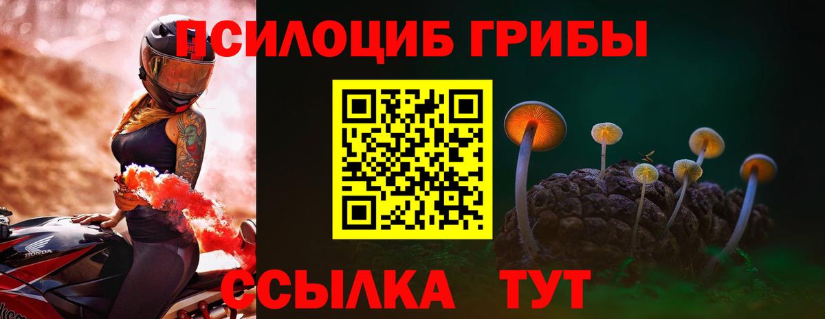 Псилоцибиновые грибы мухоморы Шарыпово